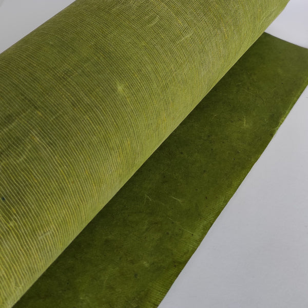 Lokta Wax Cotton, carta Lokta cerata accoppiata a garza di tessuto. Colore verde