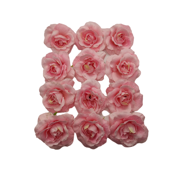 12 Rose in tessuto rosa