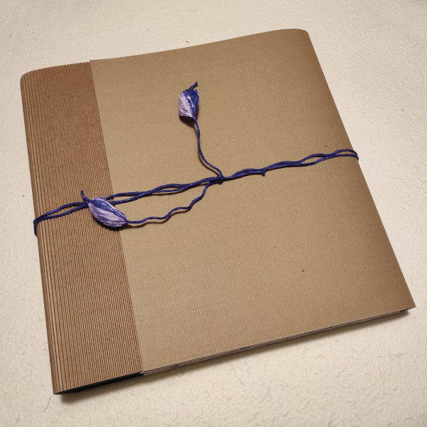 Album fotografico con custodia