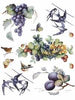 Carta Découpage Serie 3 - Cod. 023 - Composizione frutta