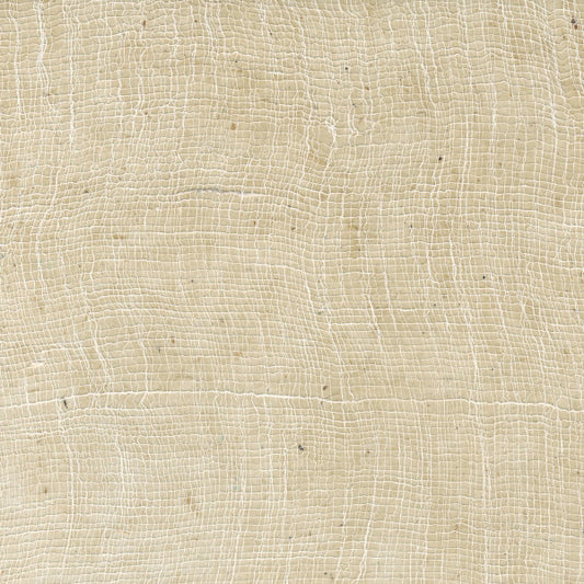 Carta Lokta Wax Cotton avorio