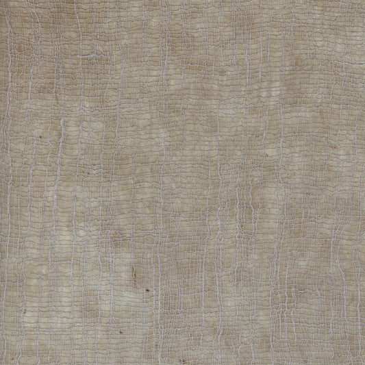 Carta Lokta Wax Cotton grigio perla