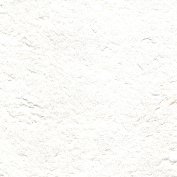 carta di gelso tinta unita colore bianco