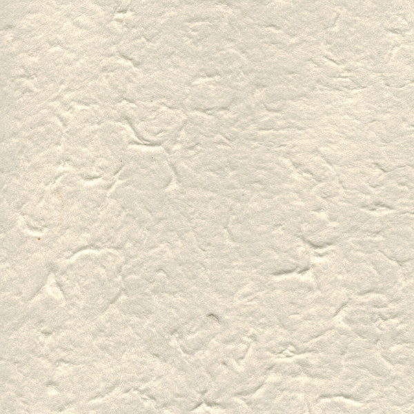 carta di gelso tinta unita colore avorio
