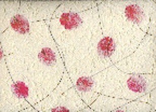 Carta Cotone con inserti floreali - Steli e Petali Rosa (SS01) - La Bottega delle Idee - Rimini