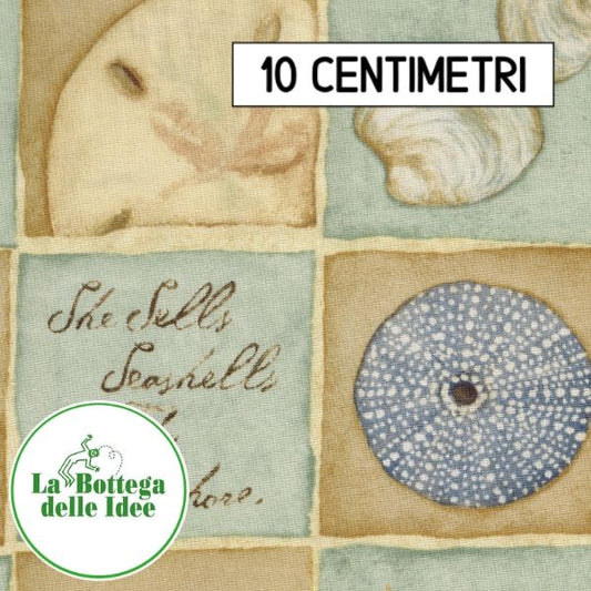 Serie "SeaShells" Fantasia 1 (var. 056)