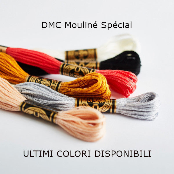 DMC Mouliné Spécial - ultimi colori disponibili alla Bottega delle Idee