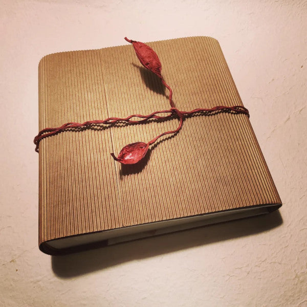 Album fotografico con custodia