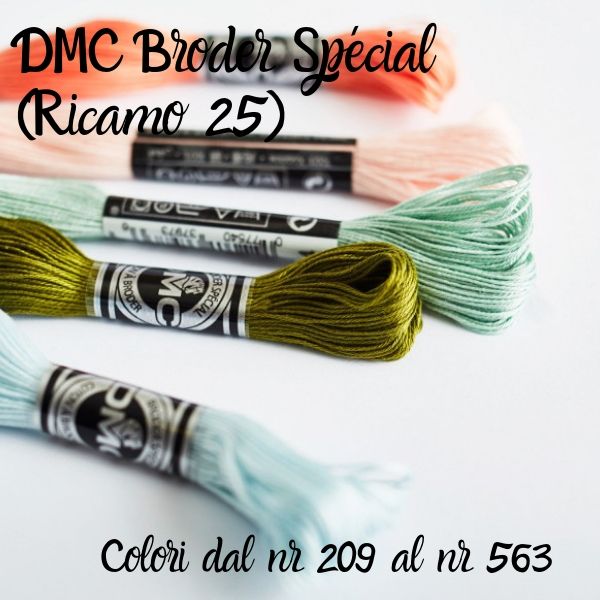 DMC Broder Spécial (Ricamo 25) - Colori dal nr 209 al nr 563