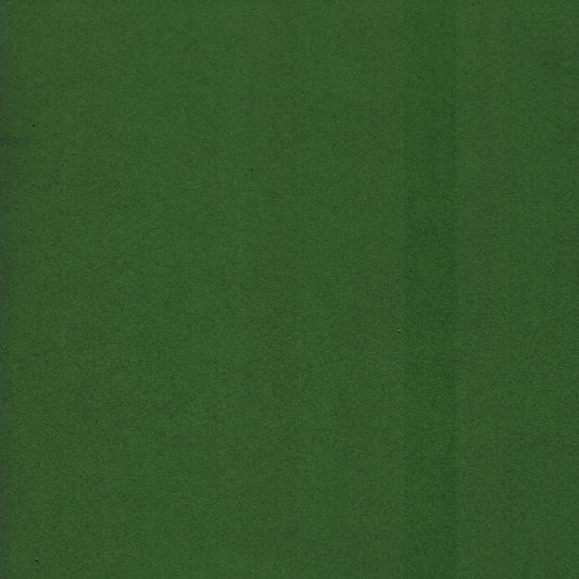 Fommy Soft 1 mm - Verde Muschio