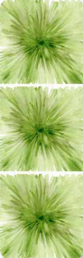 Fommy Dèco Soft Large - Monet Verde Salvia/Verde (009)