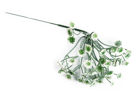Fiore Neve
