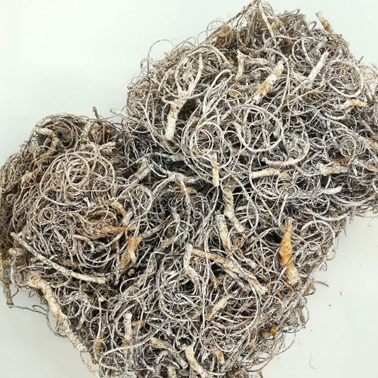Curly Moss - White Wash - 130 gr