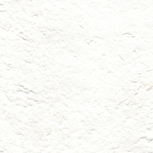 carta di gelso tinta unita colore bianco