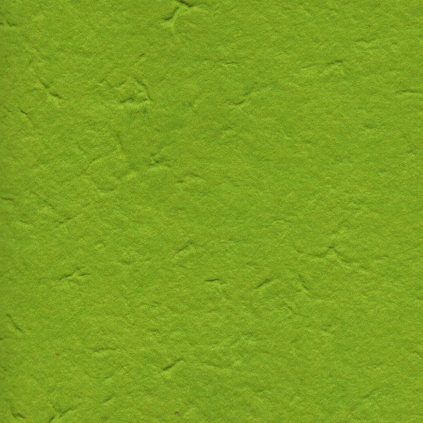 Carta di Gelso monocolore - Verde Pistacchio (38)