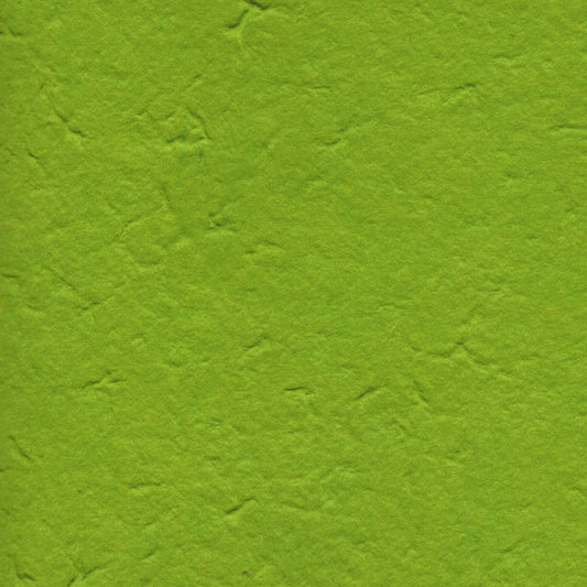 Carta di Gelso monocolore - Verde Pistacchio (38)