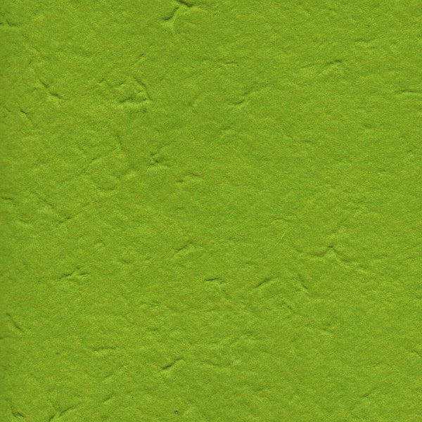 Carta di Gelso monocolore - Verde Pistacchio (38)