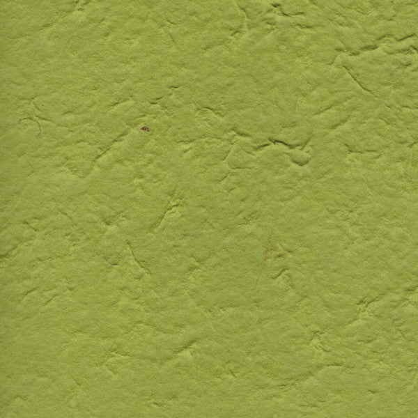 carta di gelso tinta unita colore verde menta