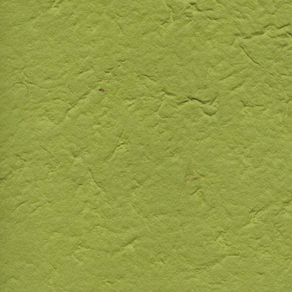Carta di Gelso monocolore - Verde Menta (61)