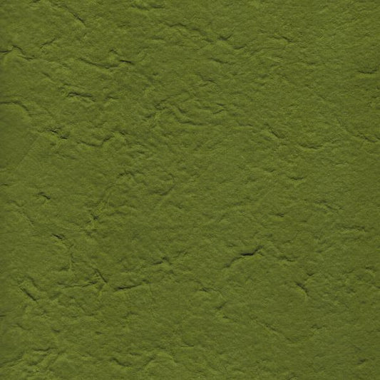 carta di gelso tinta unita colore verde muschio