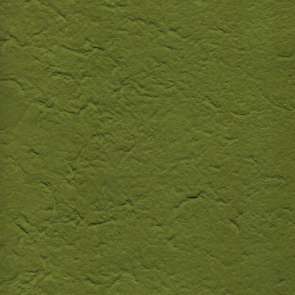 Carta di Gelso monocolore - Verde Muschio (66)