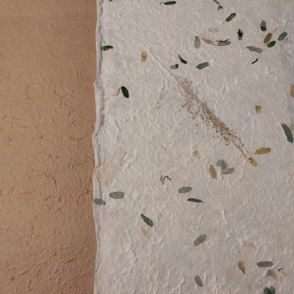 Album foto - Abbinamento Sabbia Gelso-Gelso 7